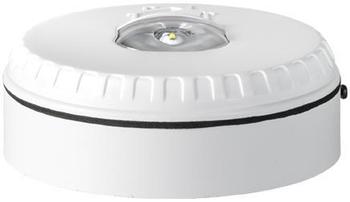 SOL-LX-W-WR Sygnalizator błyskowy w białej obudowie. Kolor światła czerwony. Instalacja na ścianie